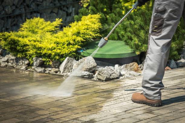Best Spring Cleaning  in East Basin, UT